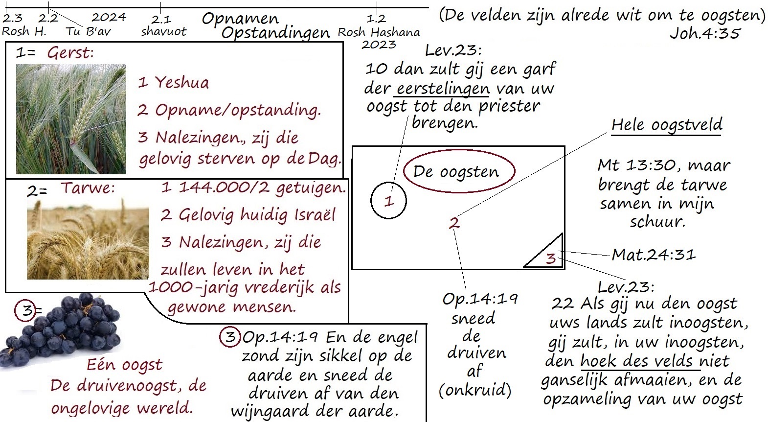 De oogsten van het einde.